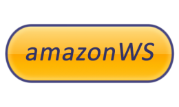 Plug Amazon Web Services