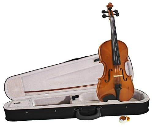 Windsor Full Size 44 Violin Outfit Includes Light weight Zipped Case